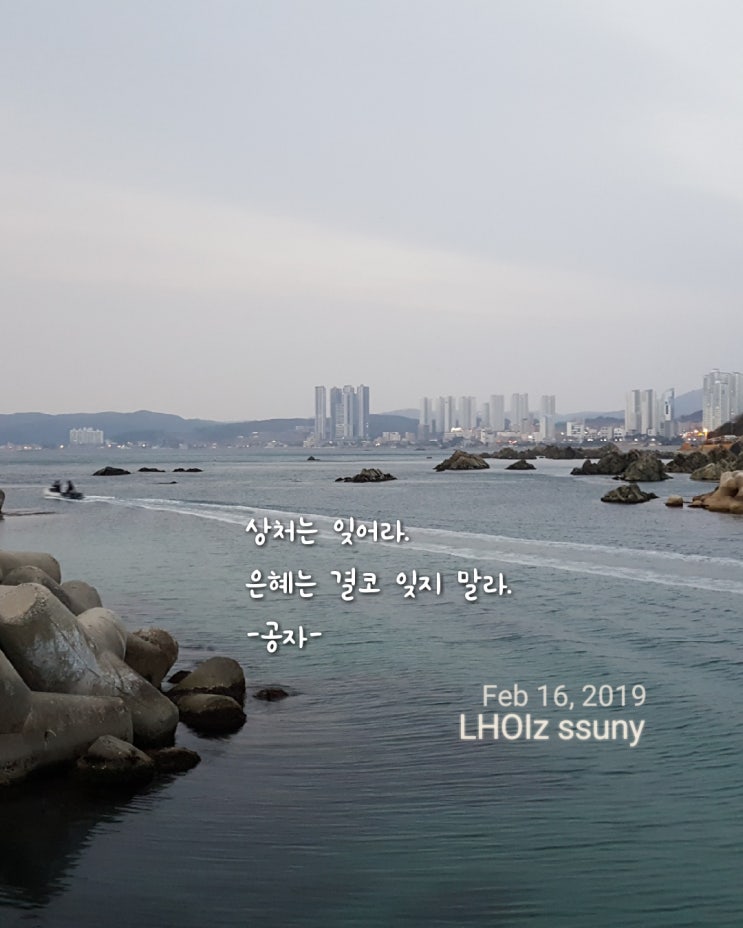  [글 그림] 용서명언-공자...상처는 잊으라.