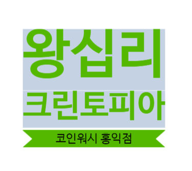  크린토피아 코인워시 왕십리 홍익점 후기 내돈내산