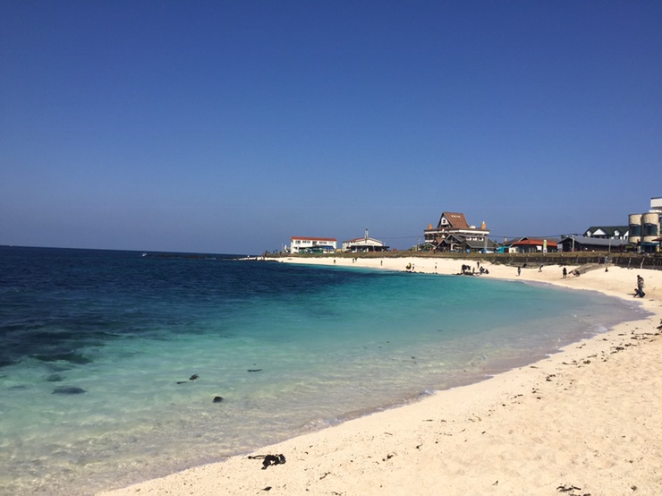  제주도 푸른 밤