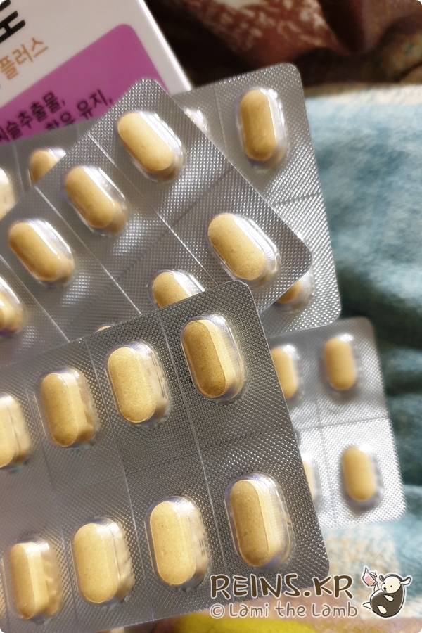  간에좋은영양제 락피도 밀크씨슬 플러스  (milk thistle)
