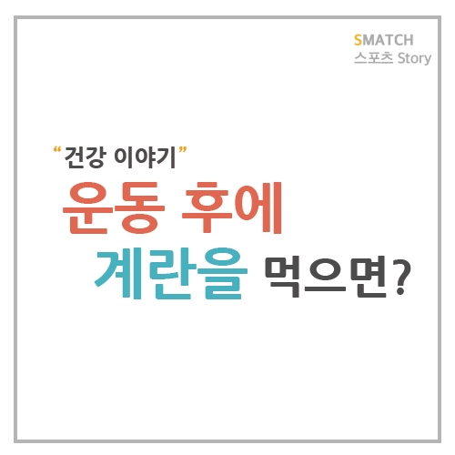  운동할 때 계란을 먹으면 좋다?