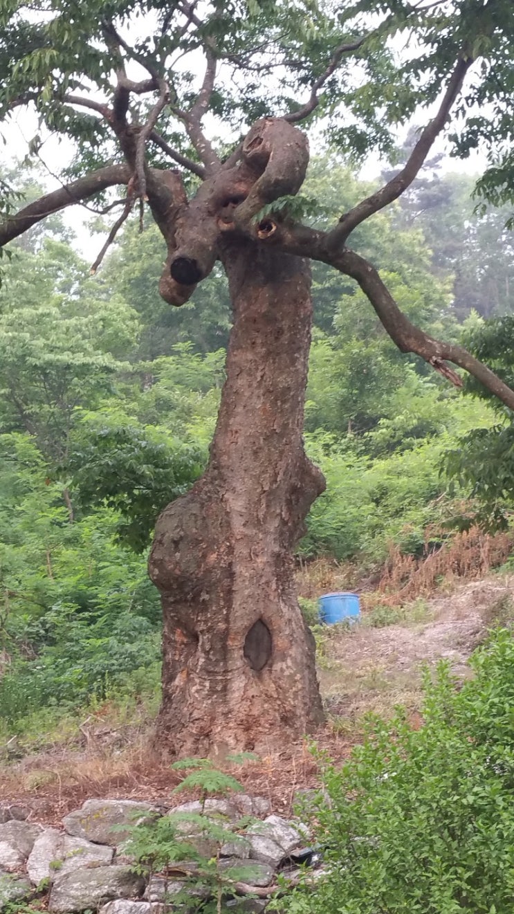  산악회 시산제 명당 추천