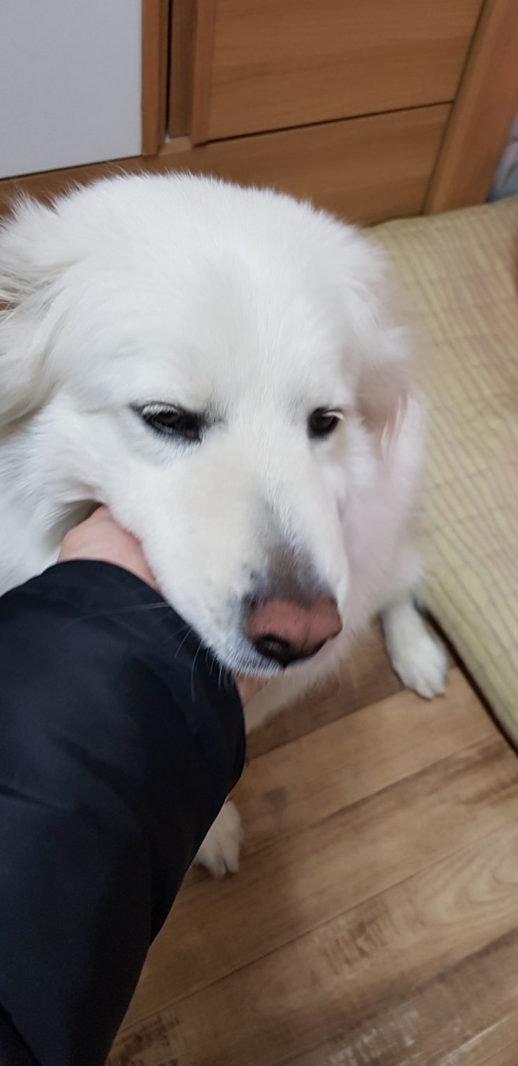  서로이웃추가 환영해요