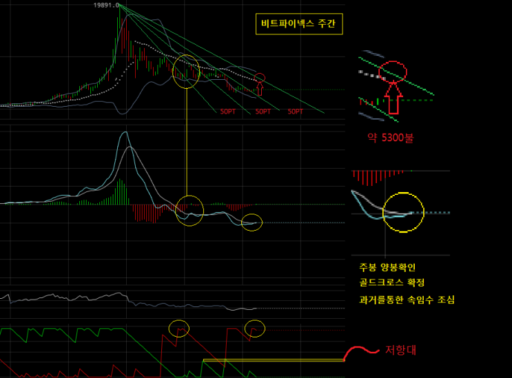 4회차