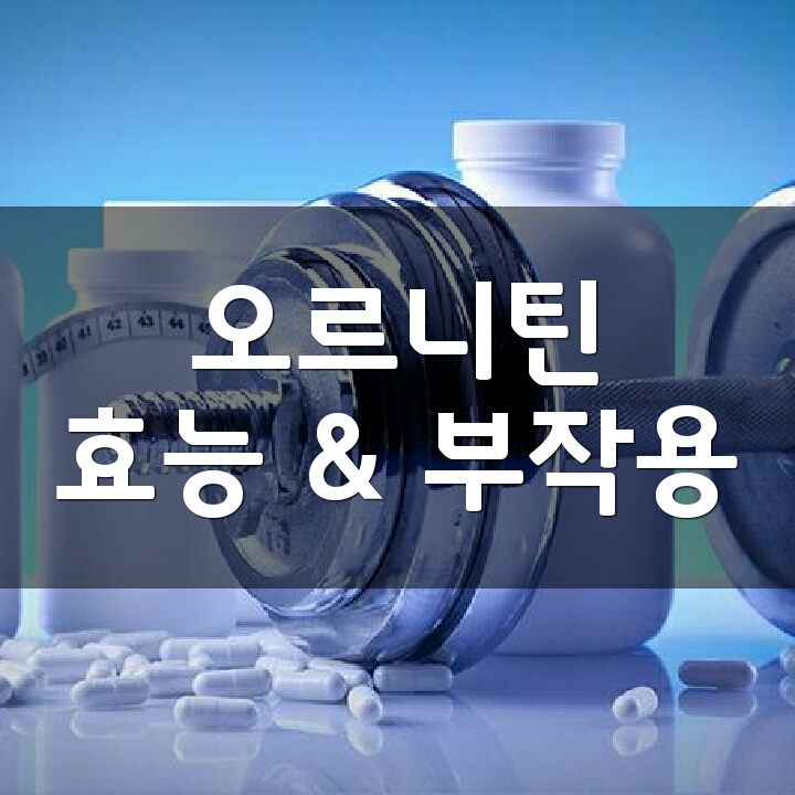  오르니틴 (Ornithine), 효능, 부작용, 권장량, 제품 순위