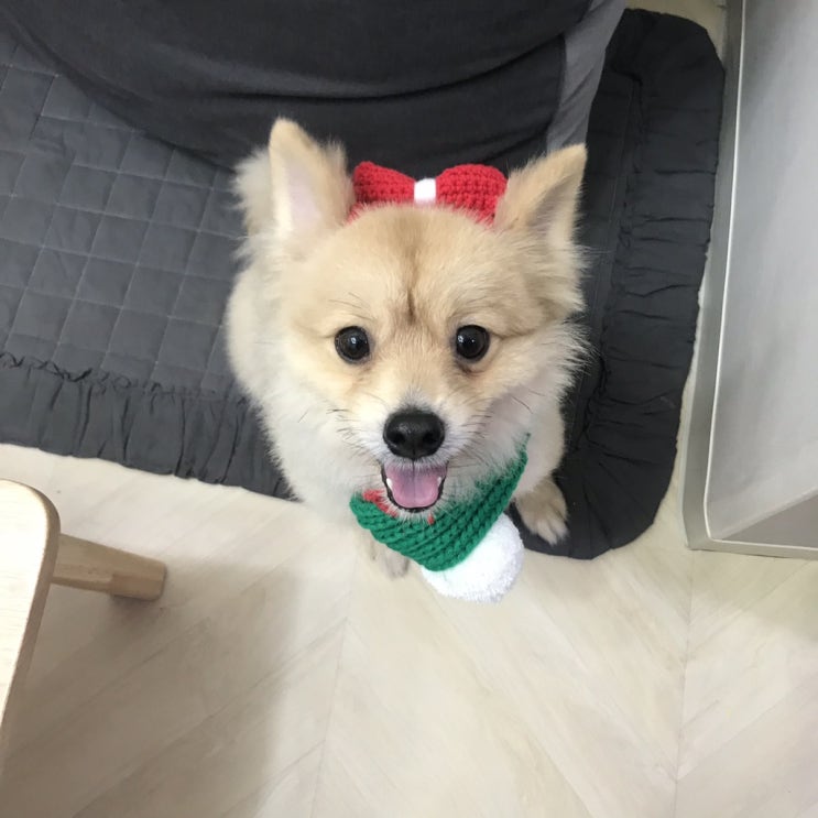  짱구 이발소