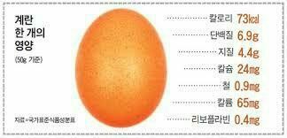 단백질 달걀 달걀보다 단백질