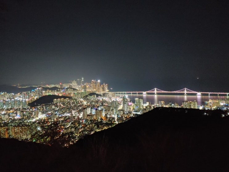  부산 여행 날씨 좋고 야경도 좋고 봄이 오나봄