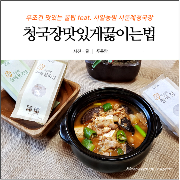  청국장맛있게끓이는법 완전 꿀팁 feat. 서일농원 서분례청국장
