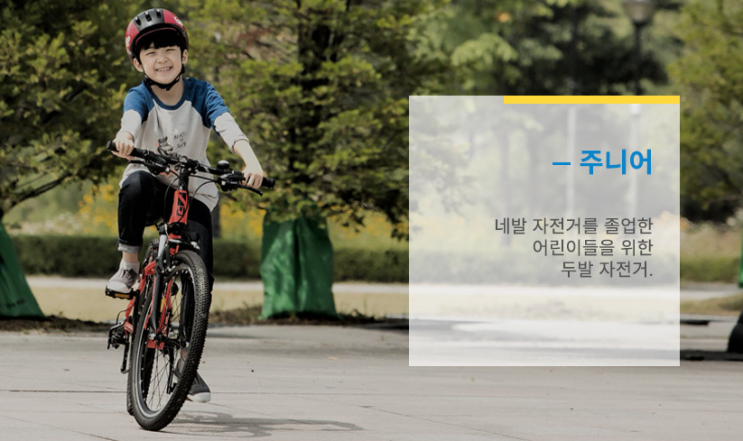 원주 어린이자전거 초등학교 2학년 ~ 4학년에게 적합한 24인치 "태풍 GS" 할인 판매 혁신도시 삼천리자전거