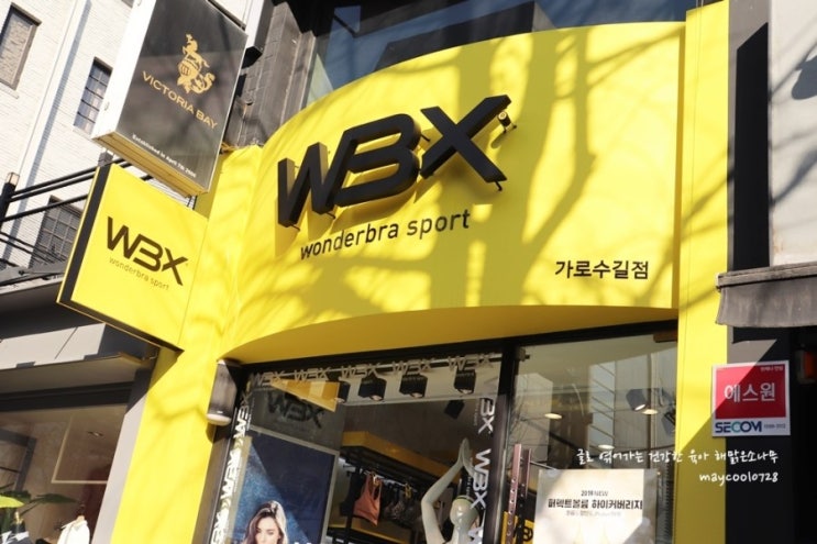  원더브라 스포츠 WBX 가로수길 플래그십 스토어 방문기