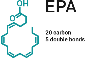 오메가-3 지방산 EPA&DHA 주요 기능 차이 : 네이버 블로그