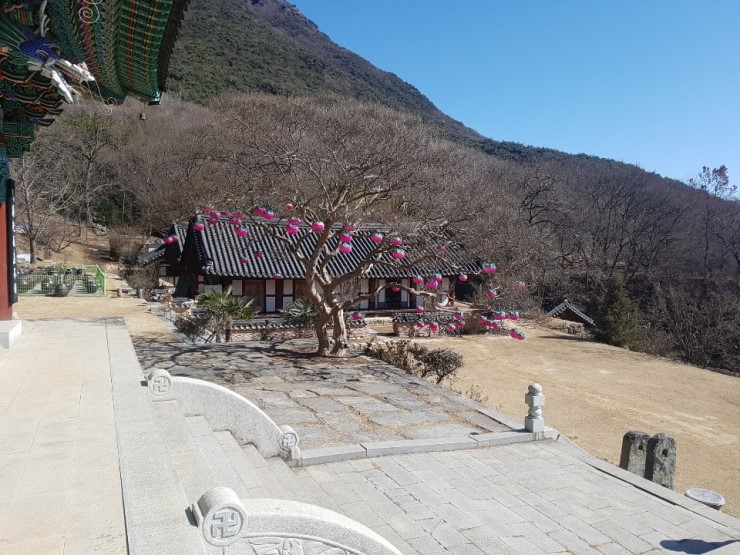 만연사 다녀온 후기