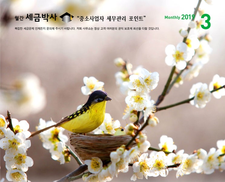  법인세 신고 시 유의 사항(2018년 귀속분)
