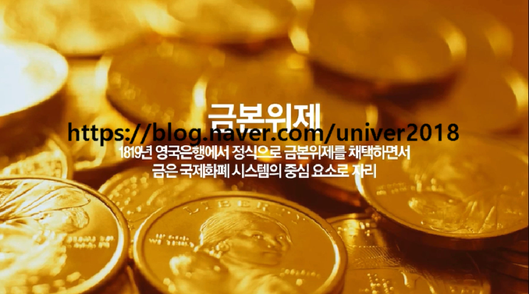  화폐의 흐름/화폐의역사/화폐전쟁/금본위제