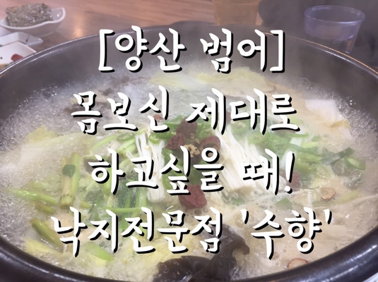  [양산 범어]몸보신 제대로 하고싶을 때! 낙지, 전복, 인삼, 대추가 한 곳에 낙지전문점 '수향'/ 카페 '페이버릿'