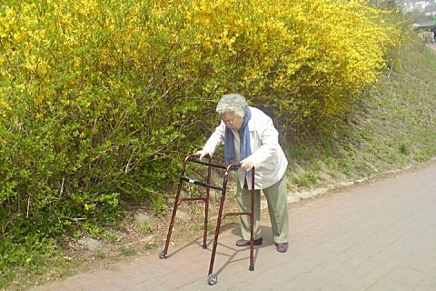개나리미장원 이미지