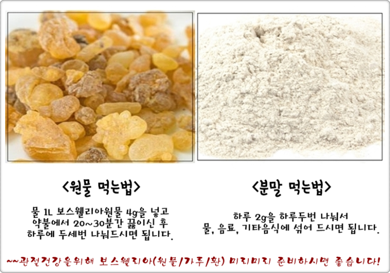 보스웰리아 효능과 먹는 방법의 부작용 (보스웰리아 가루 파는 곳) 6