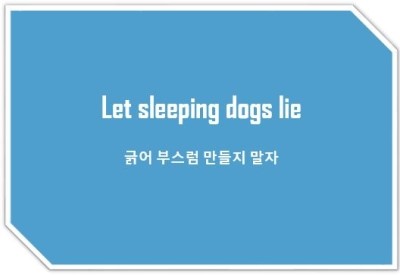 [영어표현] let sleeping dogs lie : 긁어부스럼 만들지 말자
