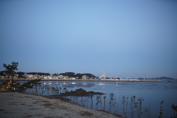  영흥도 전망좋은 카페 사진찍기 좋은 카페였던 두니아 카페