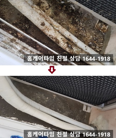  한번 시공으로 비둘기 스트레스를 날릴수 있는 비둘기퇴치법 궁금하세요??