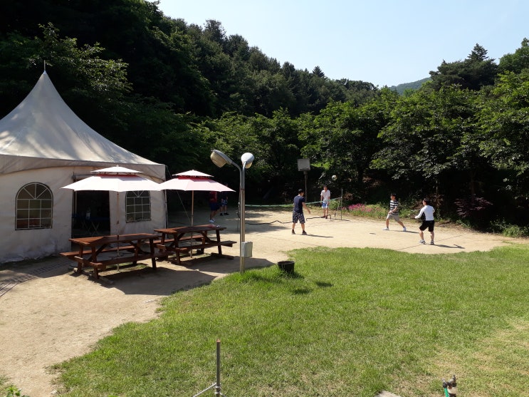  용인에 있는 대학교,,,명지대, 용인대, 단국대, 한국외대, 경희대, 강남대, 송담대, 청강대, 동아리 MT 장소, 숙박...용인단체펜션