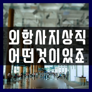  부산지상직과외학원 외항사지상직 알고싶어요