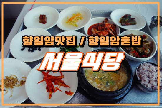  향일암맛집 서울식당 아침식사/혼밥 가능한곳