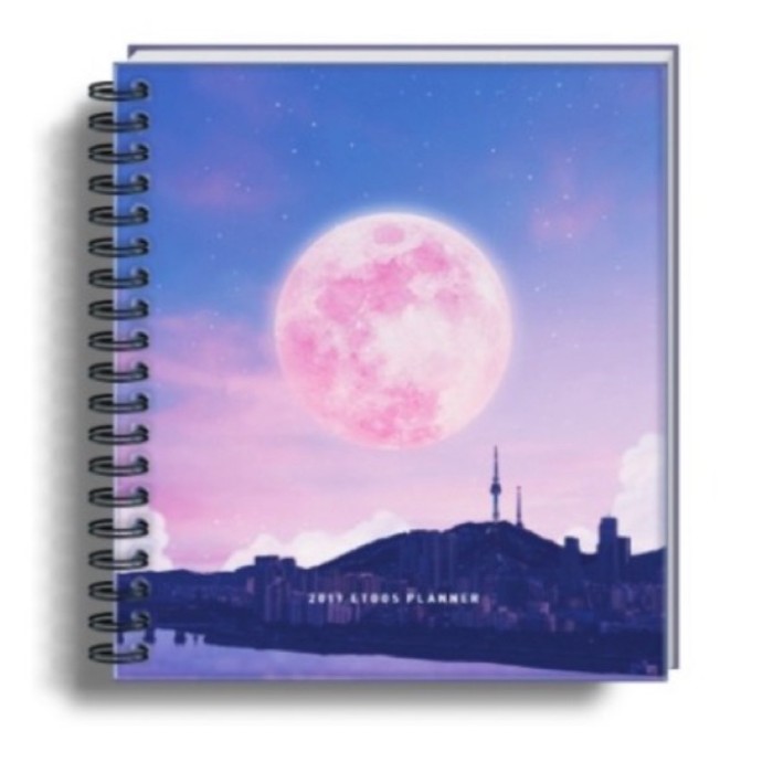 번개장터 이투스 핑크문 플래너