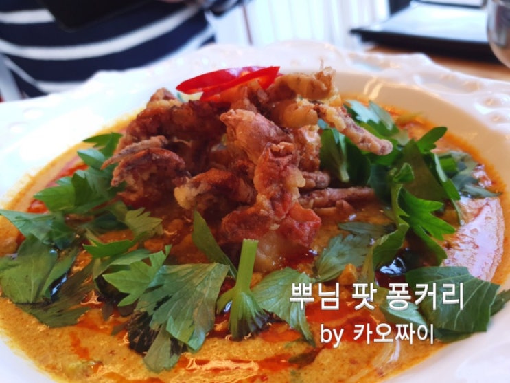  백석동 커리 카오짜이 똠양꿍도 맛있네~