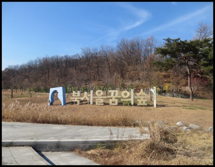  북서울꿈의숲 드높고 푸른