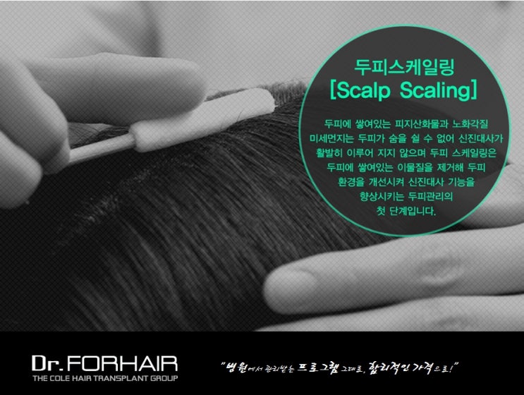 지성두피 스케일링입니다.^^ 지성두피 스케일링입니다.^^
