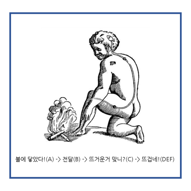  신경차단술의 오해와 진실