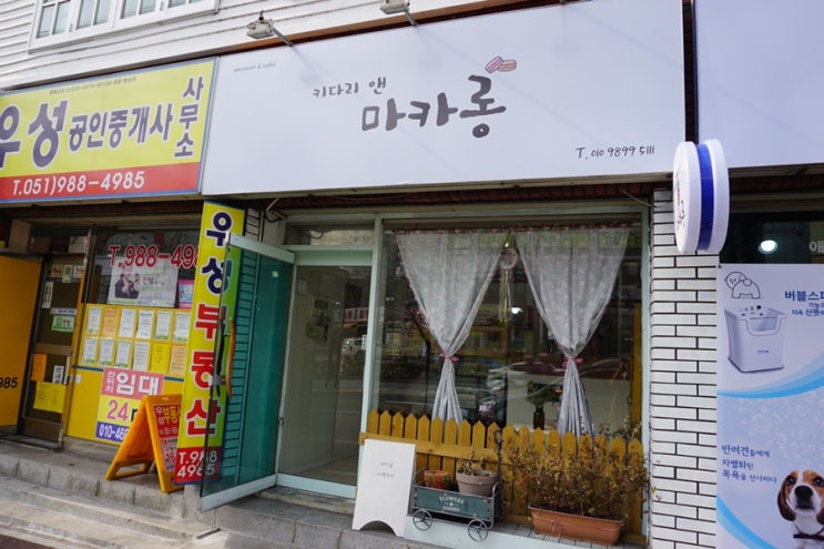  화명동 키다리앤마카롱, 테이크 아웃 전문 마카롱 집이 생겼어요!