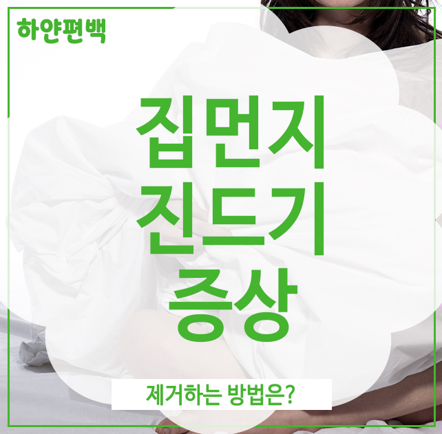  집먼지 진드기 증상, 제거하는 방법은?