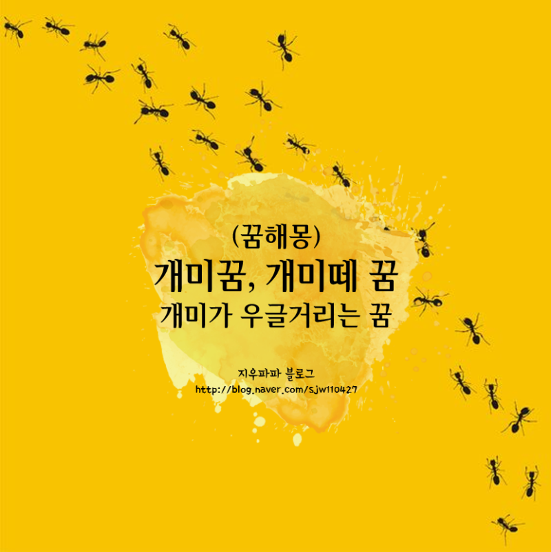 [꿈해몽] 개미꿈, 개미가 우글거리는 꿈, 개미떼 꿈