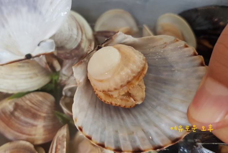 대구 수성구 황금동맛집『홍이네대왕조개전골』 수성점에서 푸짐한 점심한끼를 ,,