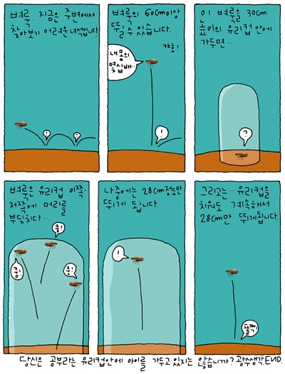  혹시 아파르트헤이트를 아세요?