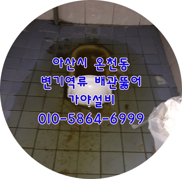  아산 온천동 주택 하수구막힘 오수배관역류 변기역류 배관누수 건물에물이새요