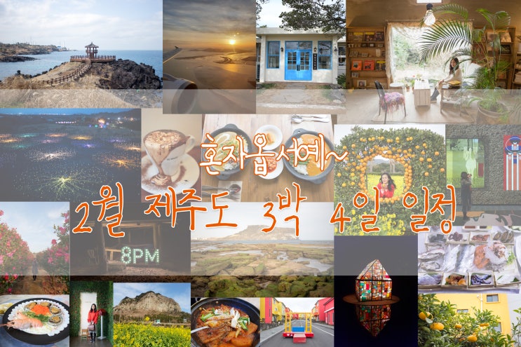  혼자옵서예~2월 제주도 3박 4일 일정+카카오 프렌즈 제주 면세점 정보