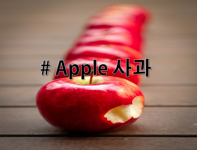  [영어수업자료] A로 시작하는 단어들!