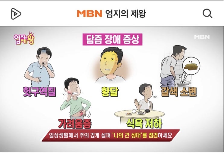  6개월 검사결과와 슈펙트 부작용(2018년편)