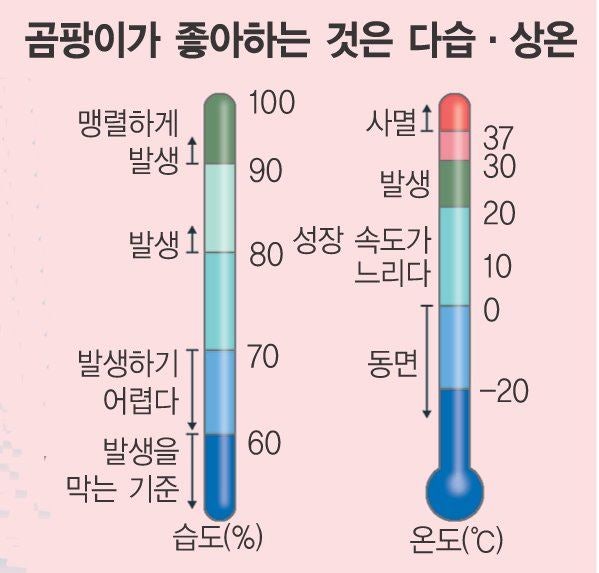 해충정보] 먼지다듬이 퇴치에 대해 알아봅시다 : 네이버 블로그