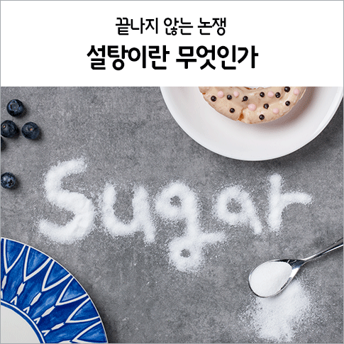 황교익 VS 백종원 - 설탕 논쟁