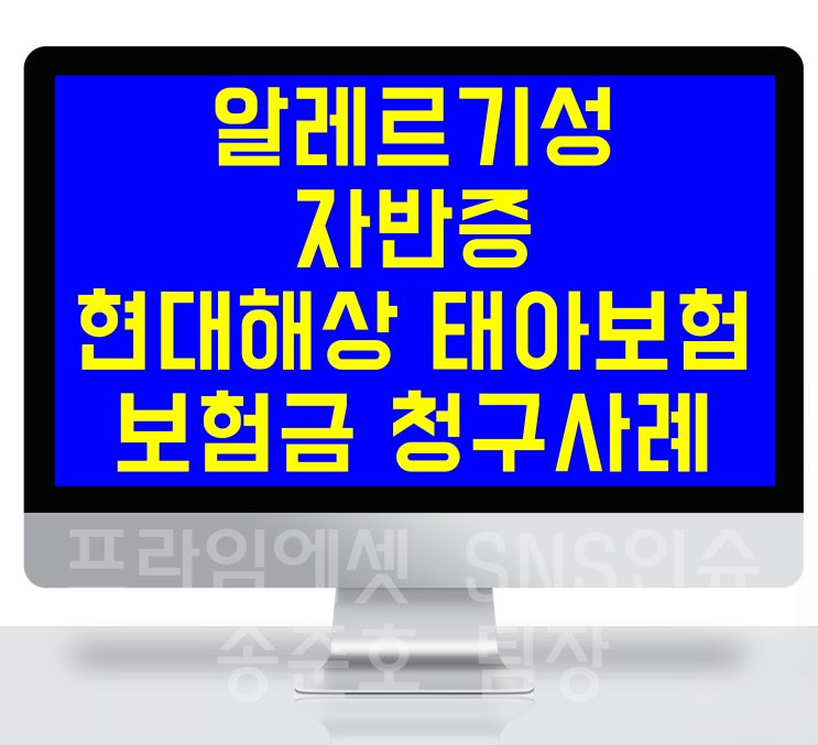  알레르기성 자반증 보험금 청구사례