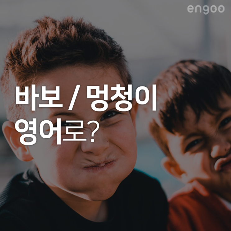  바보 영어로? 화사의 twit(멍청이) 대신 사용할 수 있는 3가지 표현!