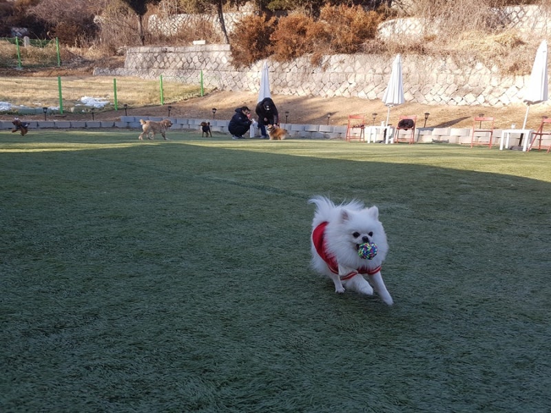 사진 5