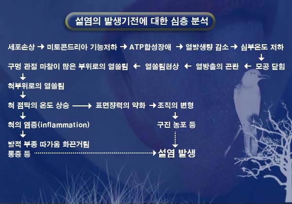 설염, 혀의 통증, 발생 원인과 치료 원칙은? : 네이버 블로그