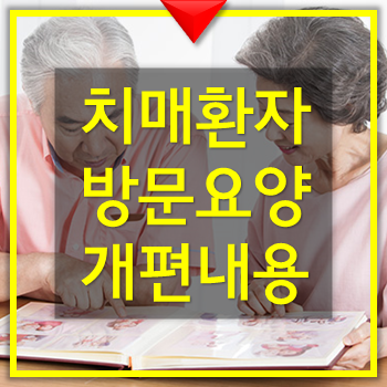  치매환자 방문요양