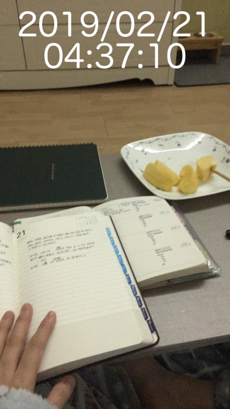  2019.02.21 니 뭐 뭇노